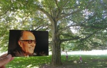 ببینید: درختی به نام عباس کیارستمی در قلب اروپا